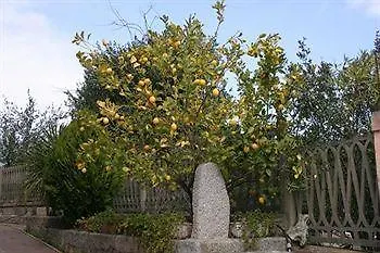 Casa Mannoni * Luogosanto